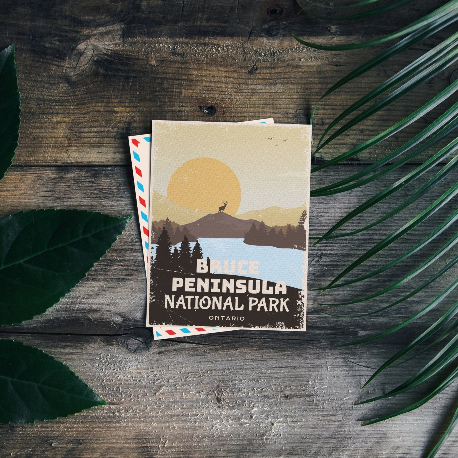 Bruce  Peninsula National Park of Canada Postcard, Canada Parks