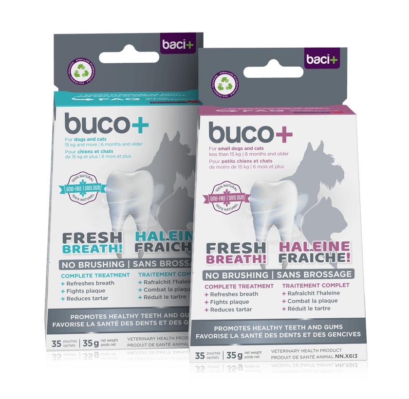 Buco+ 150mg – Soins Dentaires Naturels pour Chiens et Chats +15KG