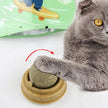 Catnip Balls for Cats – Rotary Molar Teeth Cleaning Cat Treat