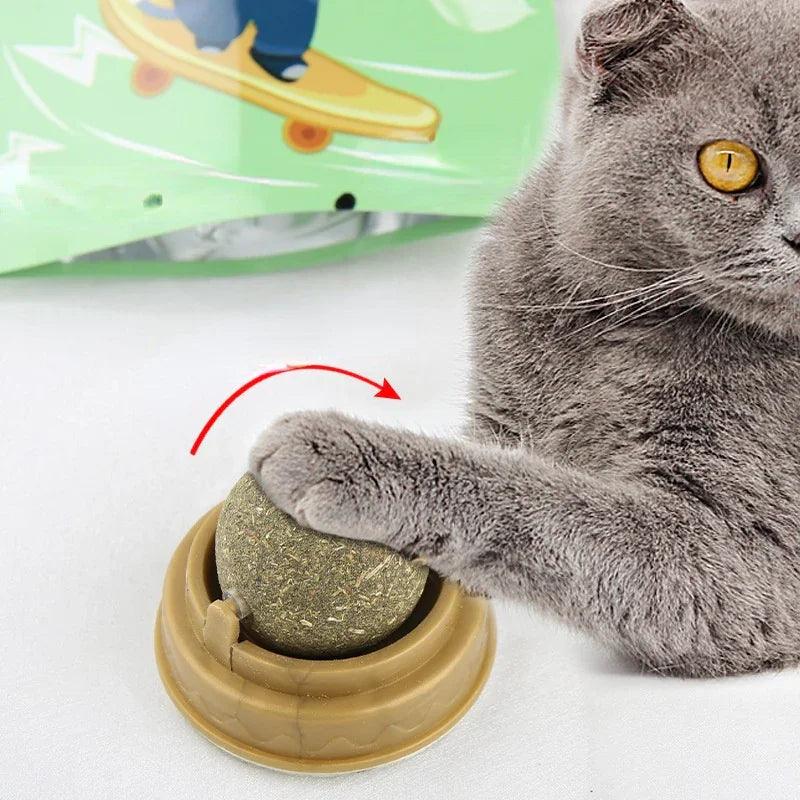 Catnip Balls for Cats – Rotary Molar Teeth Cleaning Cat Treat