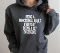 Being a Functional Adult Everyday is a Bit Excessive Pullover Hoodie