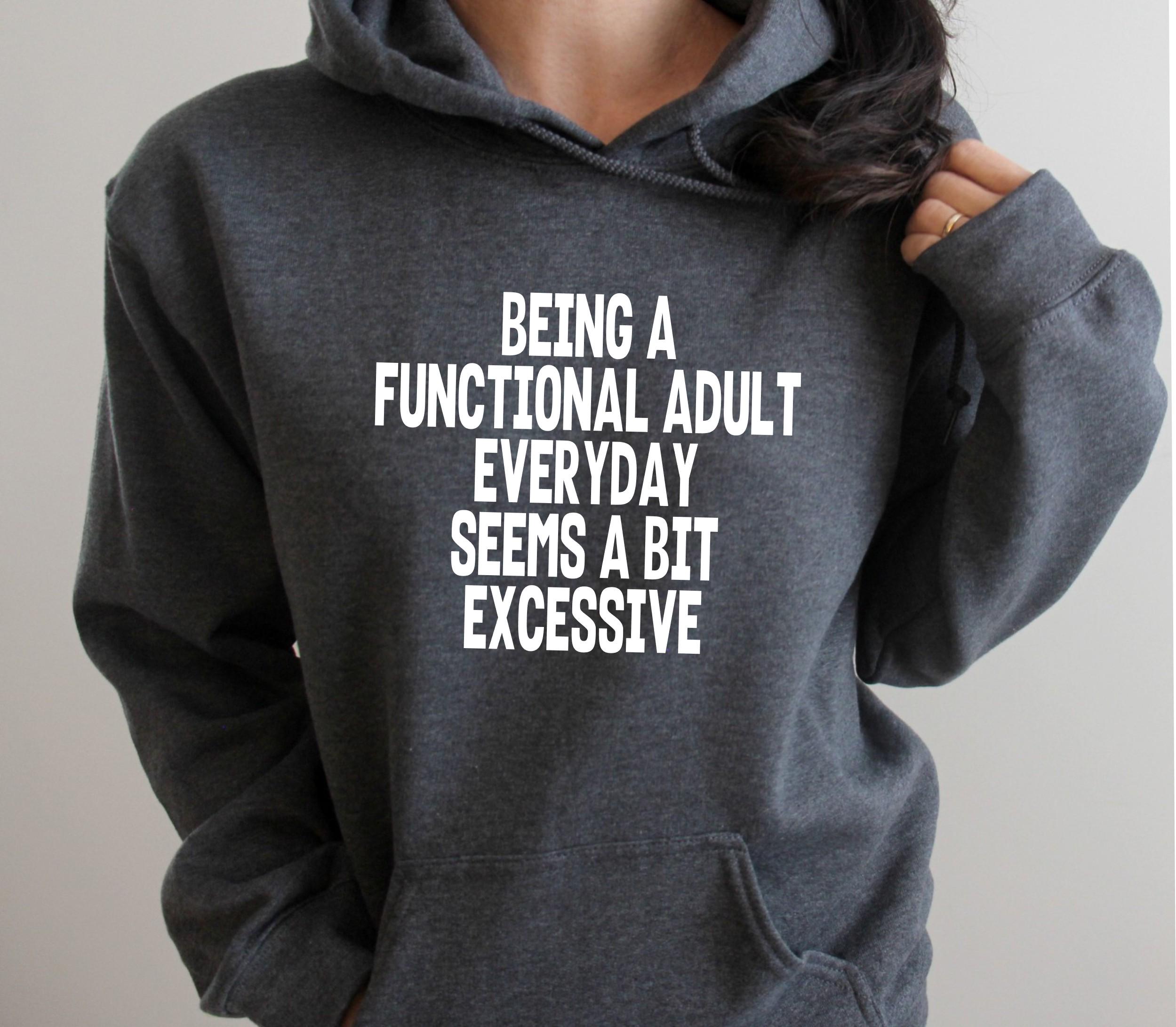 Being a Functional Adult Everyday is a Bit Excessive Pullover Hoodie