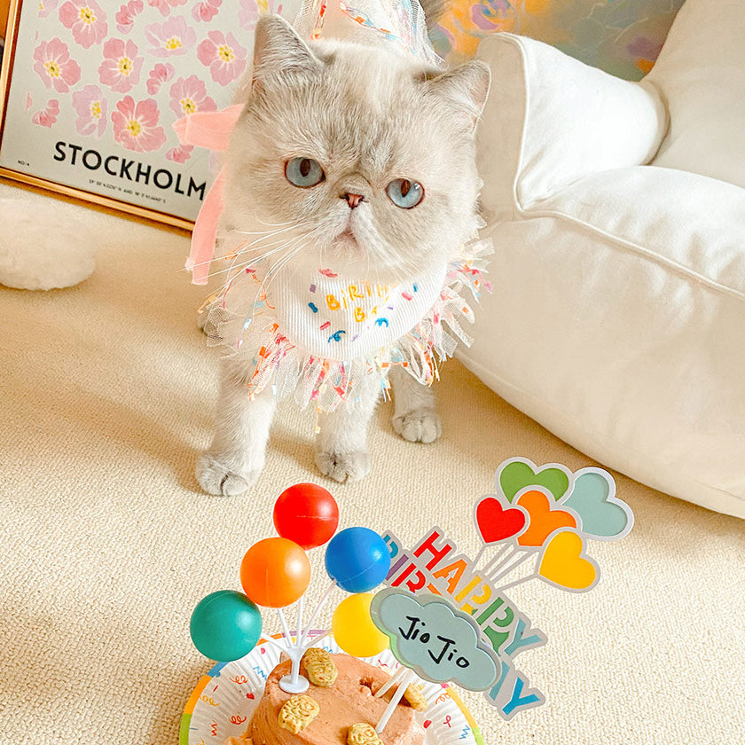 Pet Birthday Party Hat & Bib Set – Cute Dog & Cat Birthday Decoration Kit