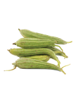 Turai (Ridge Gourd)