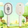 Mist Spray Airbag Massage Comb – Electric Hair Nourishing Brush with Essential Oil Atomization