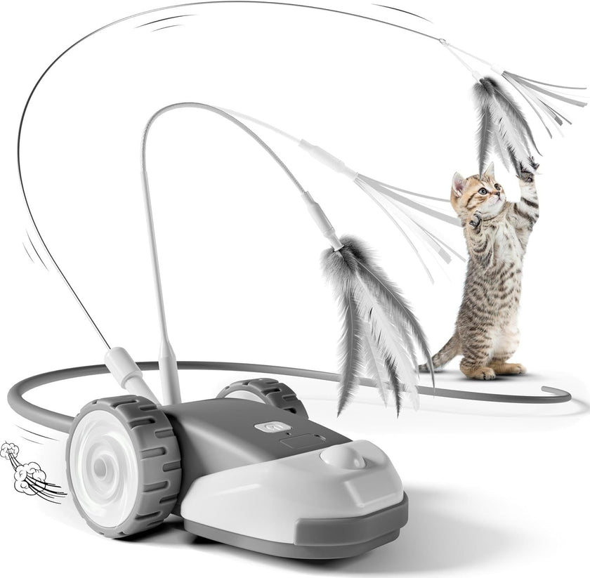 Remote Control Cat Toy Car with Feather Wand for Indoor Cats
