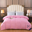 Downfull Spring And Autumn Winter Duvet Thickened Velvet Quilt Comforter