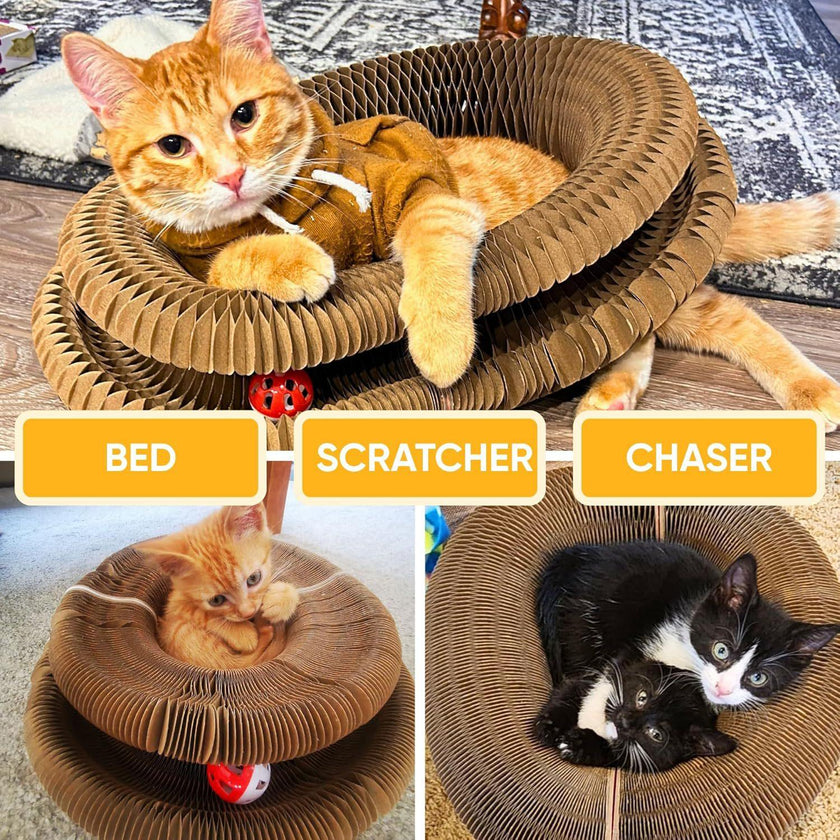 Accordion Cat Scratcher with Bells – Paper Scratching Post for Cats (1, 2 & 3 pcs)