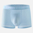 Men's Underwear Mid Waist Mesh Ice Silk Mesh SPORT Boxer Brief