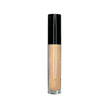 Cache-cernes vegan FencyGrace
- Glace 109
