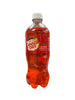 Canada Dry Cranberry Ginger Ale 591ML - Édition américaine