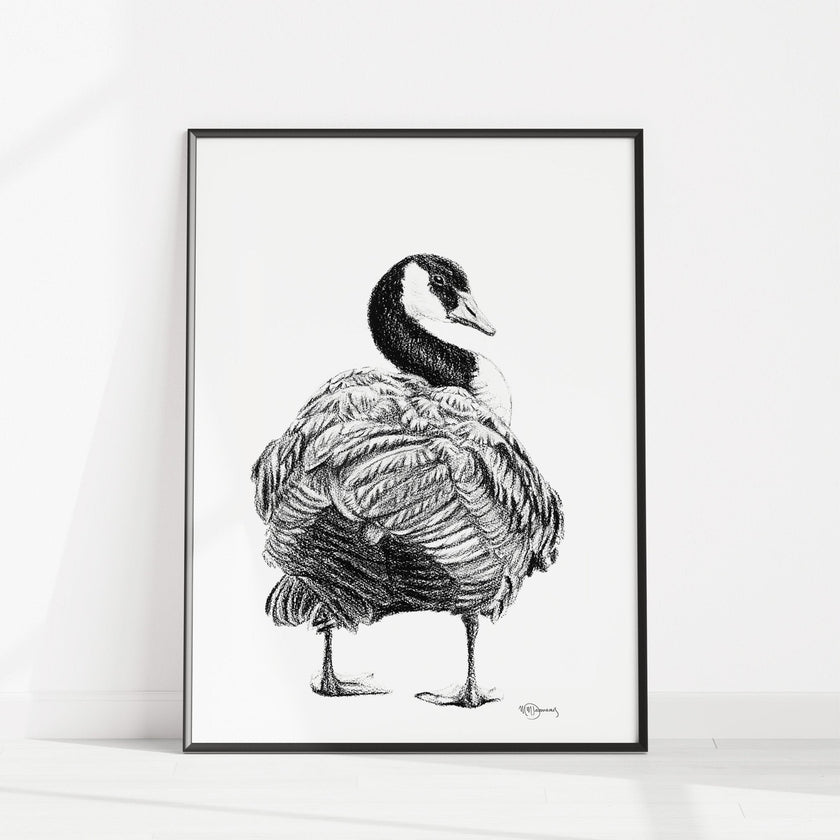 Canada Goose - art print