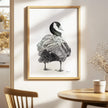 Canada Goose - art print