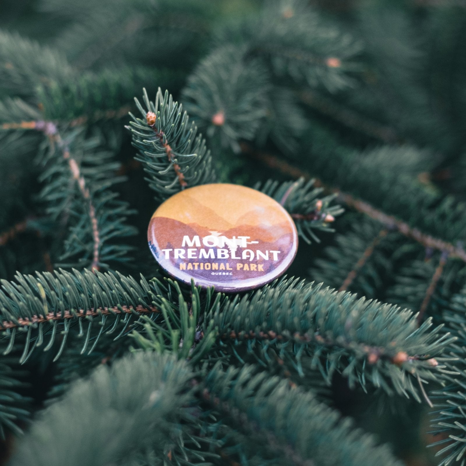 Canada National & Provincial Parks Pinback Buttons, Canada Parks