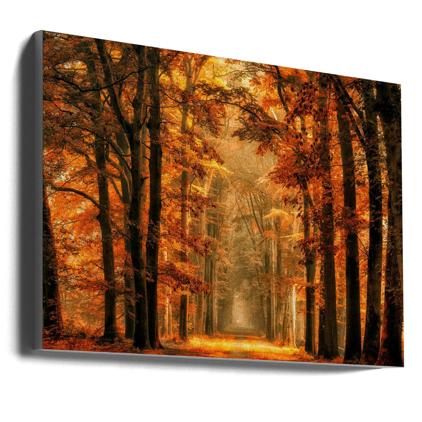Wall Art Sortir du Portail