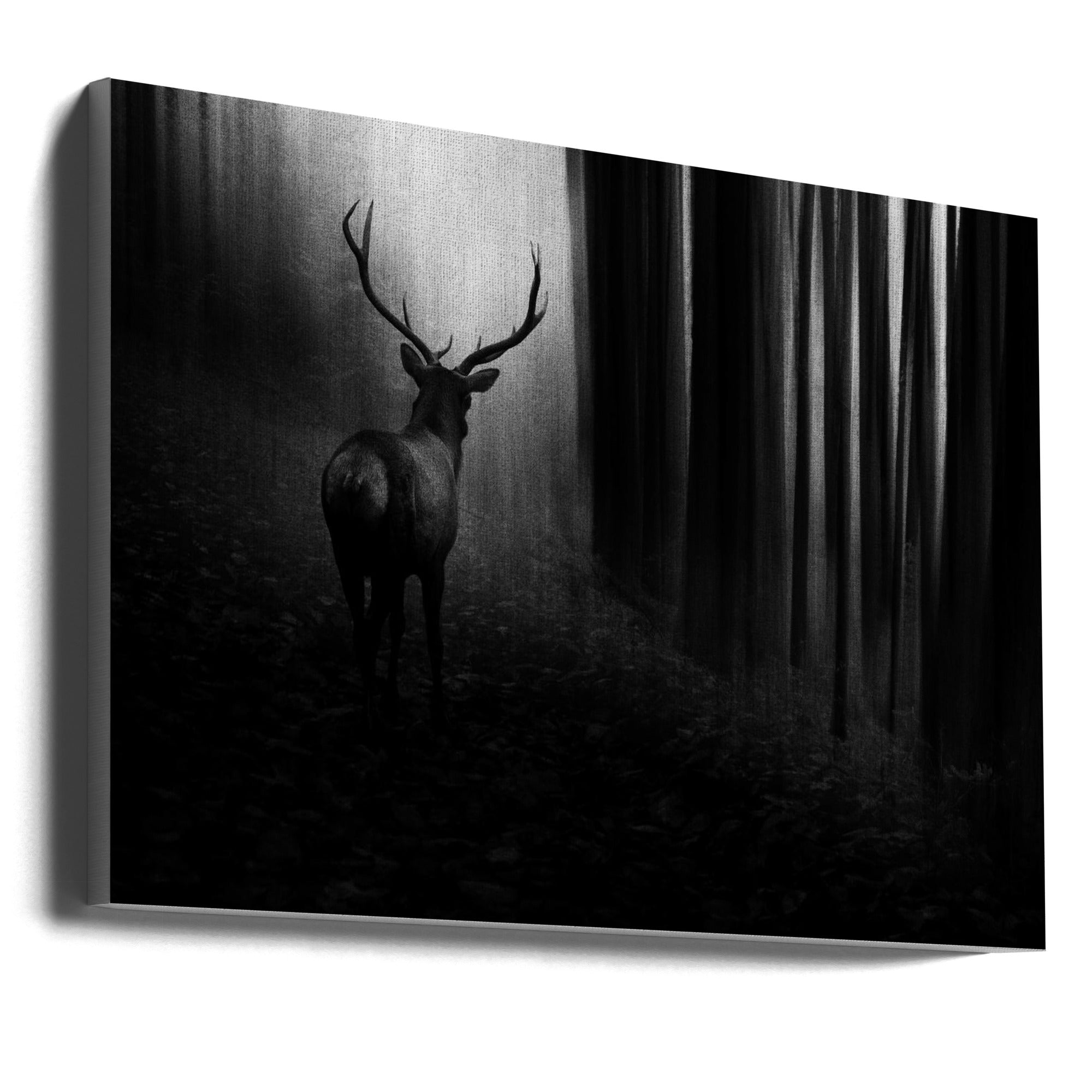 Art mural. Cerf.