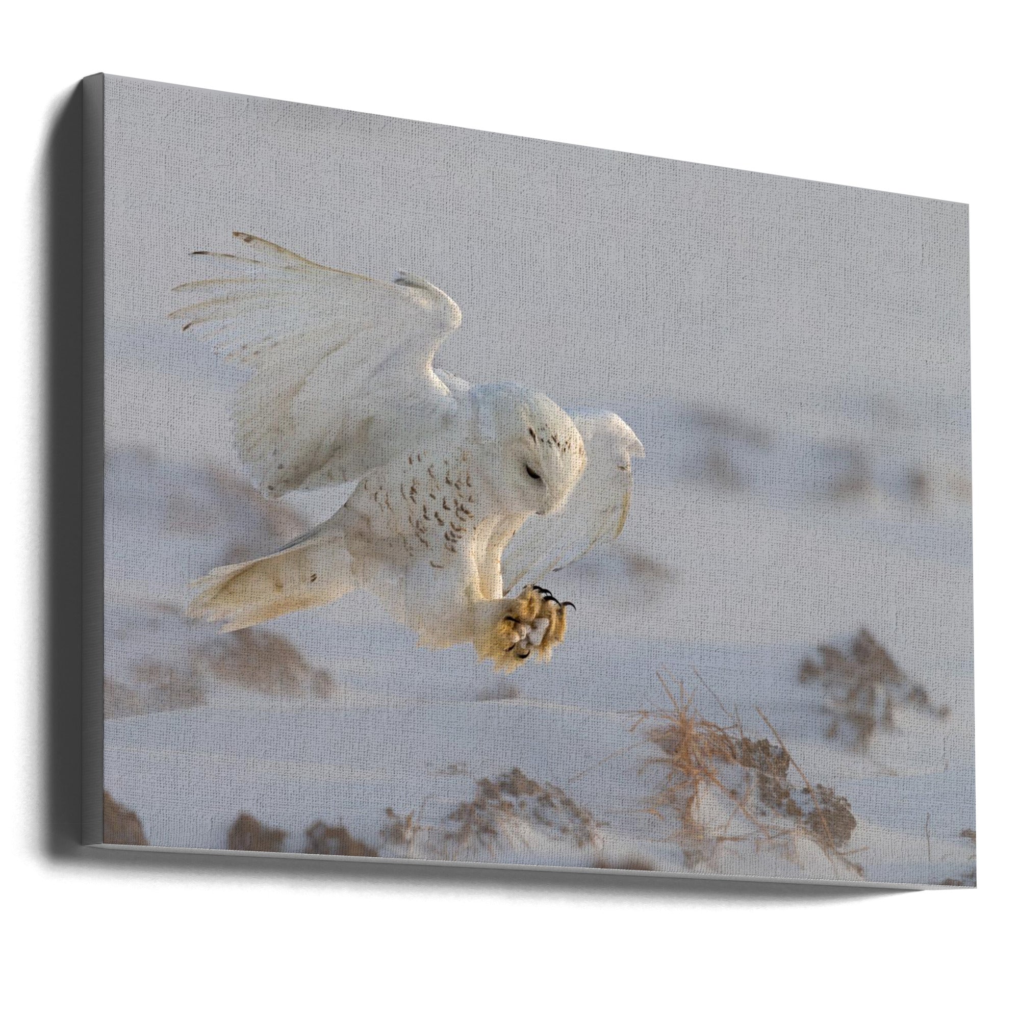Wall art Landing