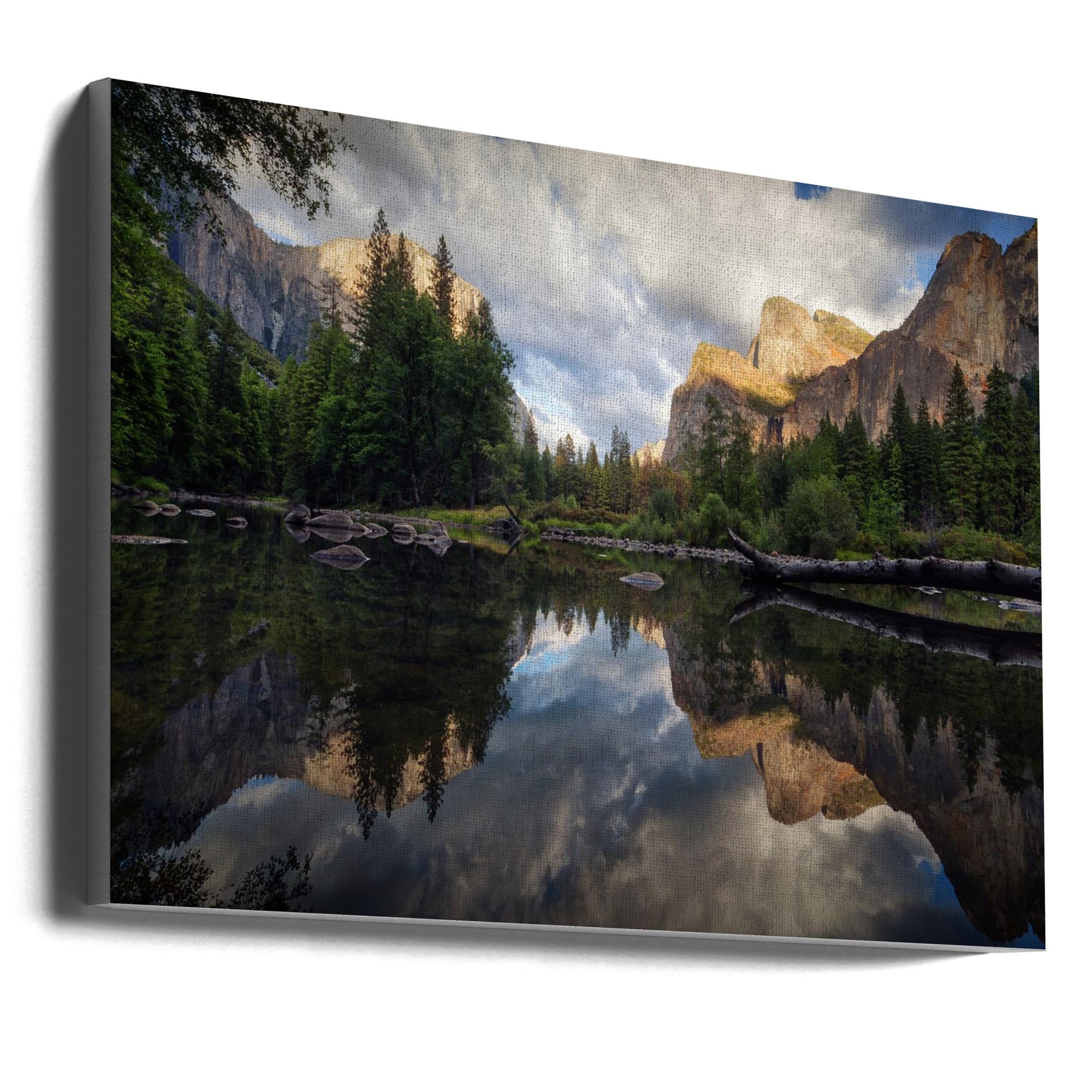 Wall art Time. Paysage