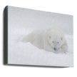 Wall art White
