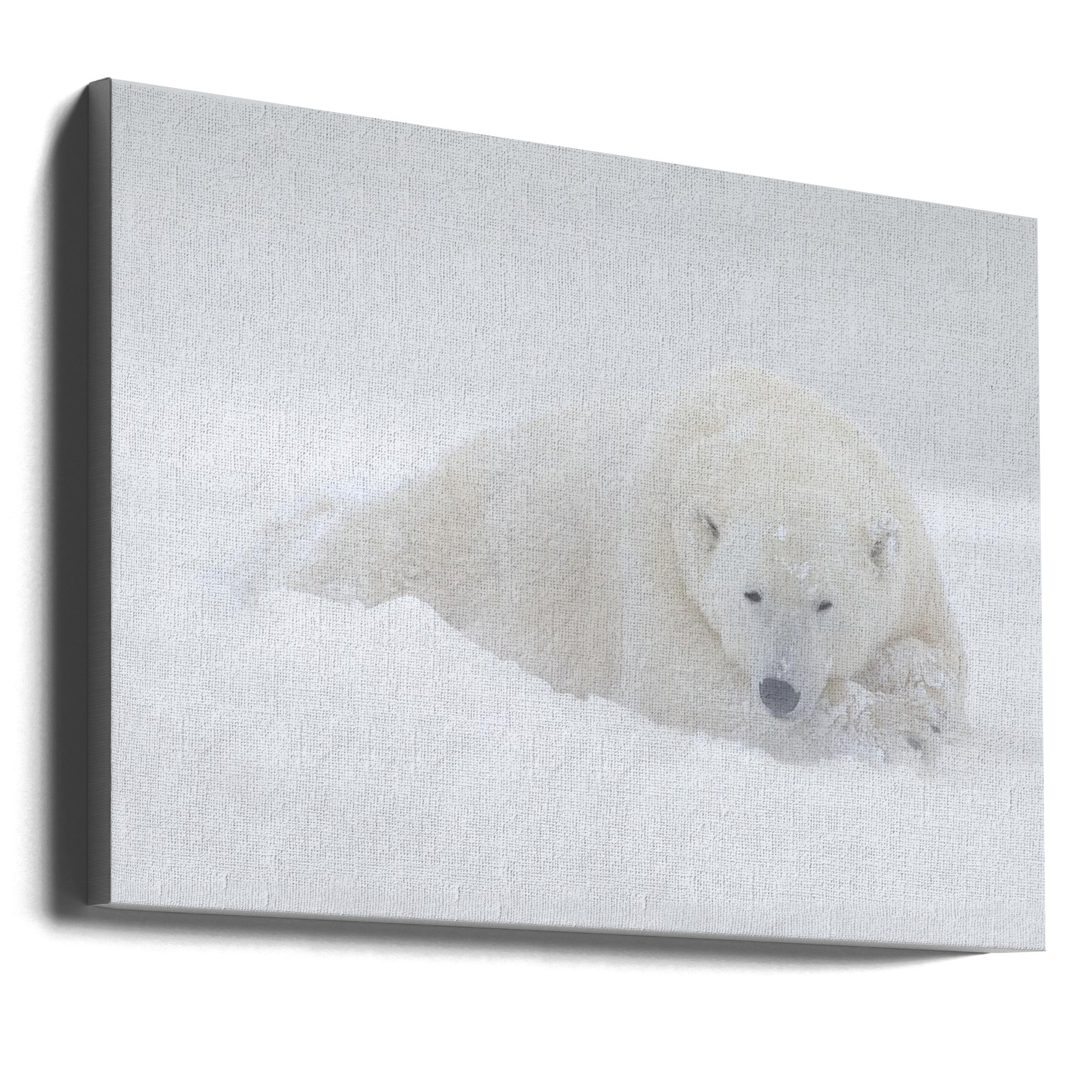 Wall art White