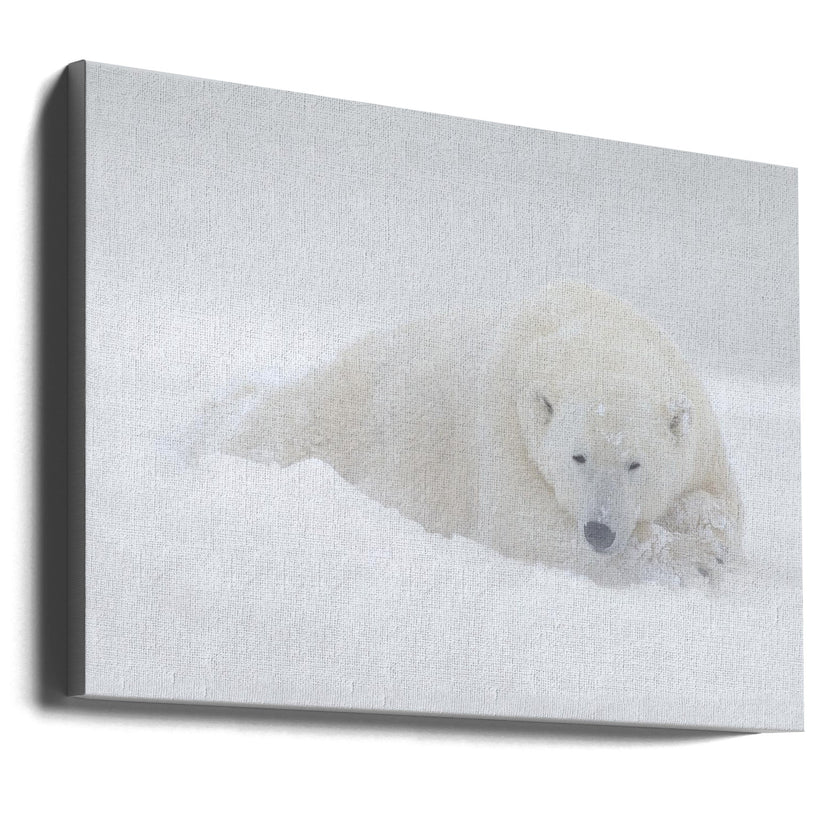 Wall art White
