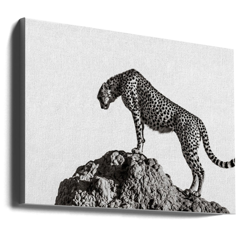 Wall Art the hunter