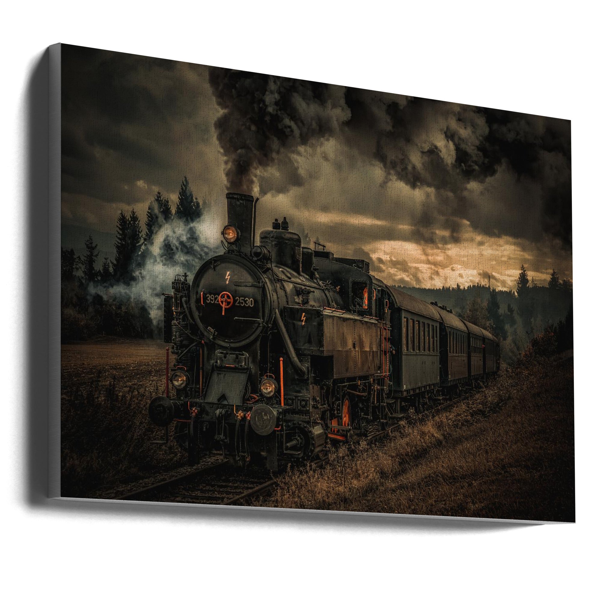 Wall Art Train de l'or (Gold digger train)