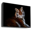 Wall art Serenity