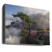 Impression sur toile 