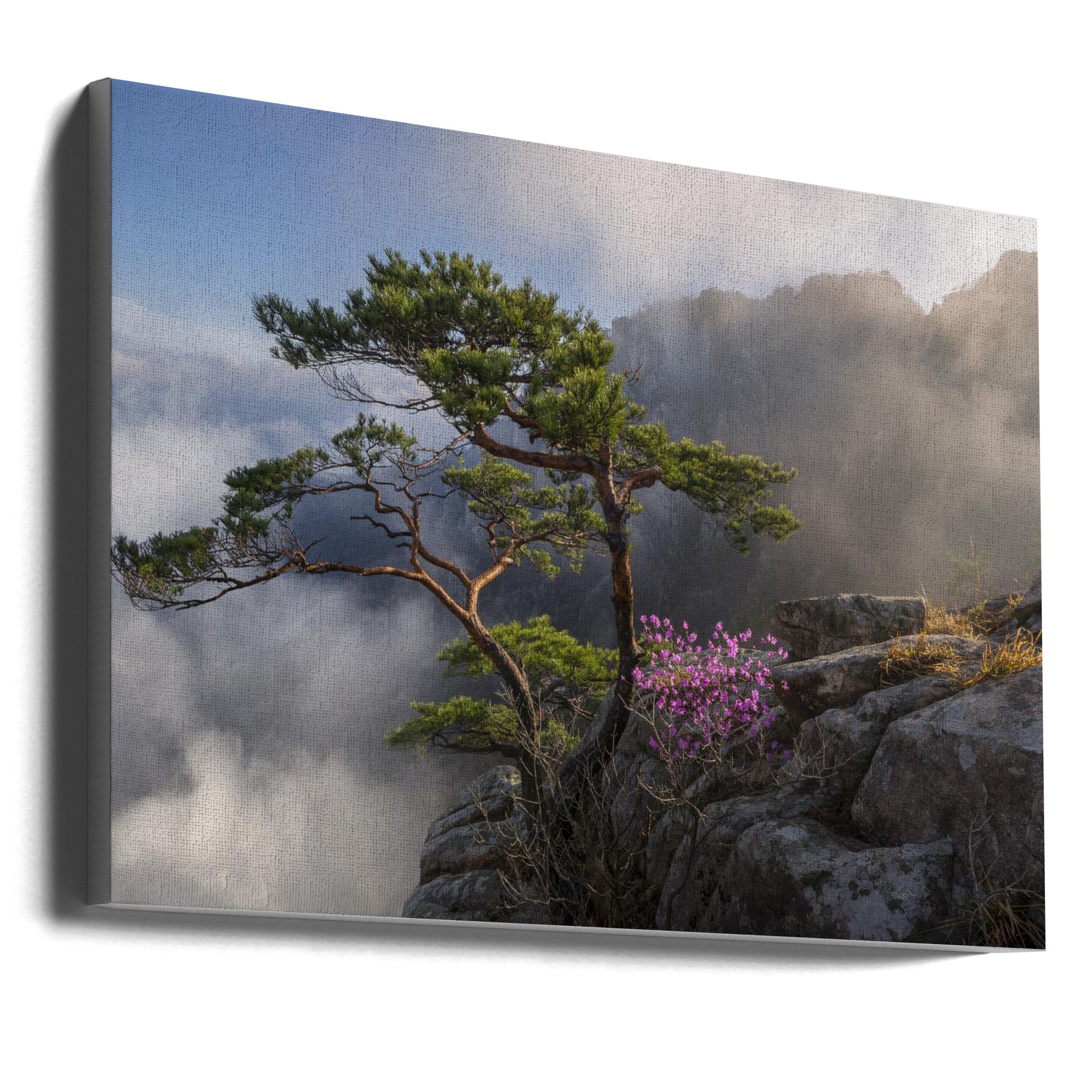 Impression sur toile 