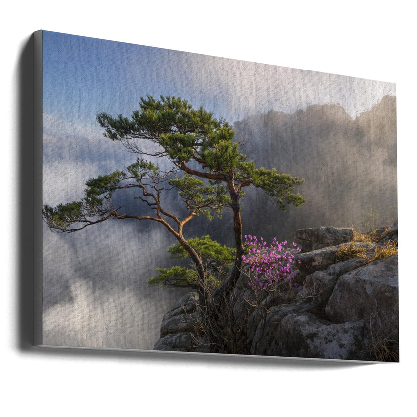 Impression sur toile 