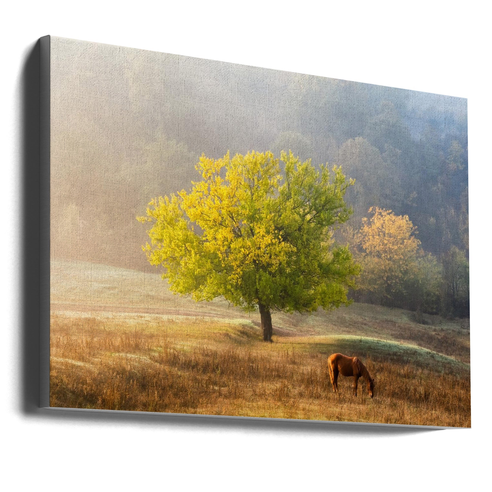 Wall art Tree of Life