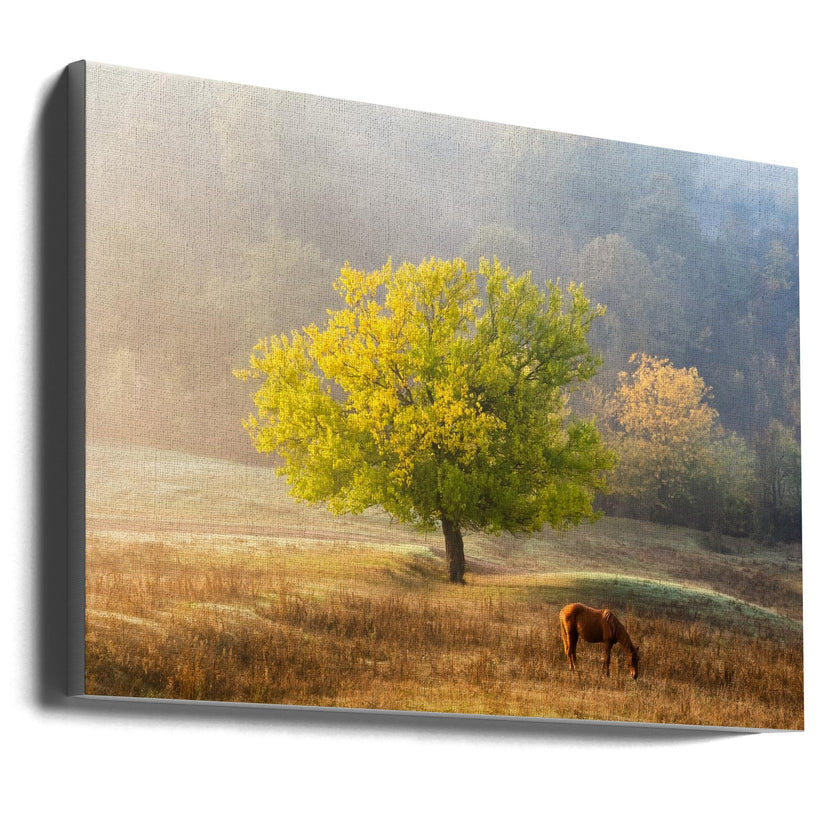 Wall art Tree of Life