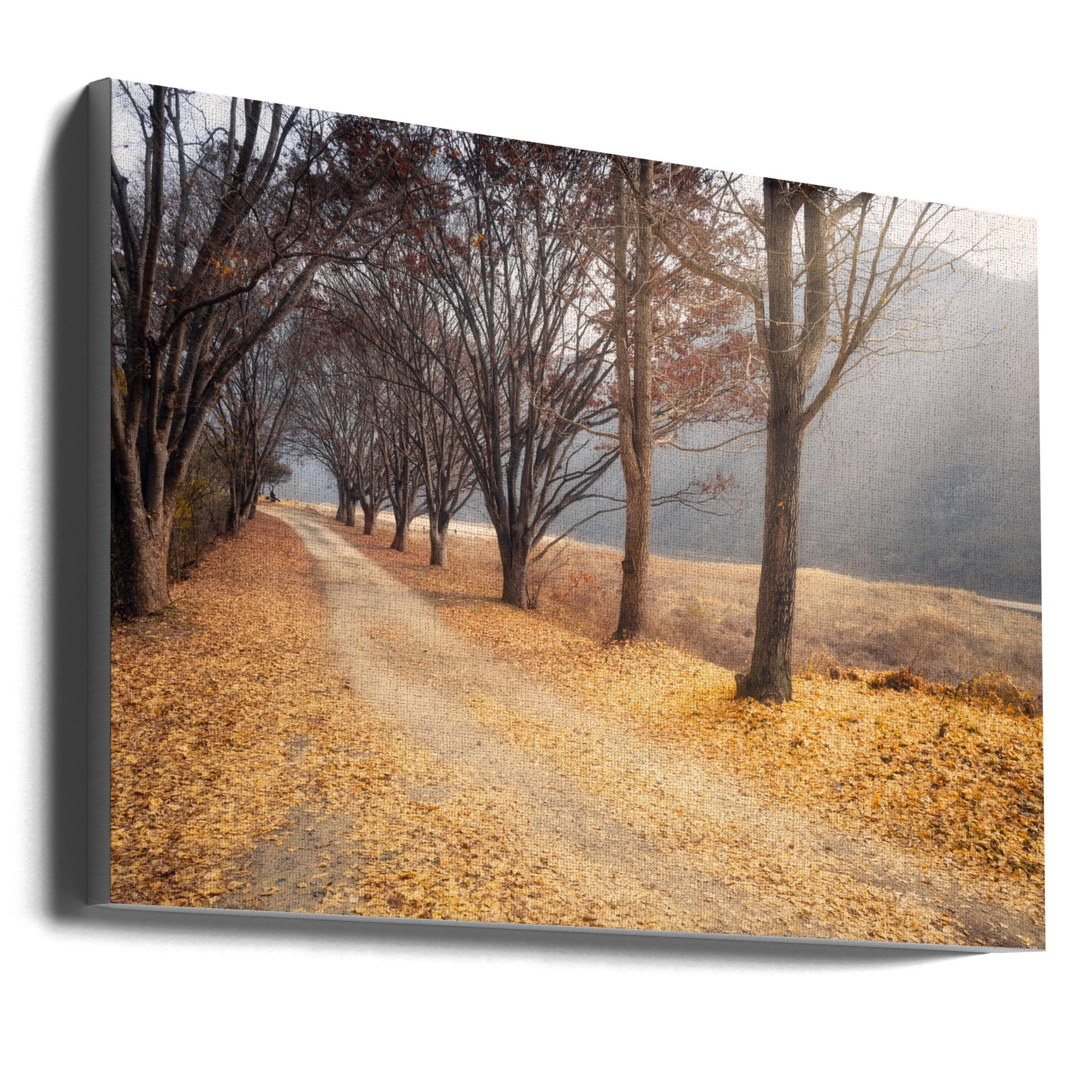 Art mural : En plein automne