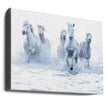 Wall Art Horses on the Run