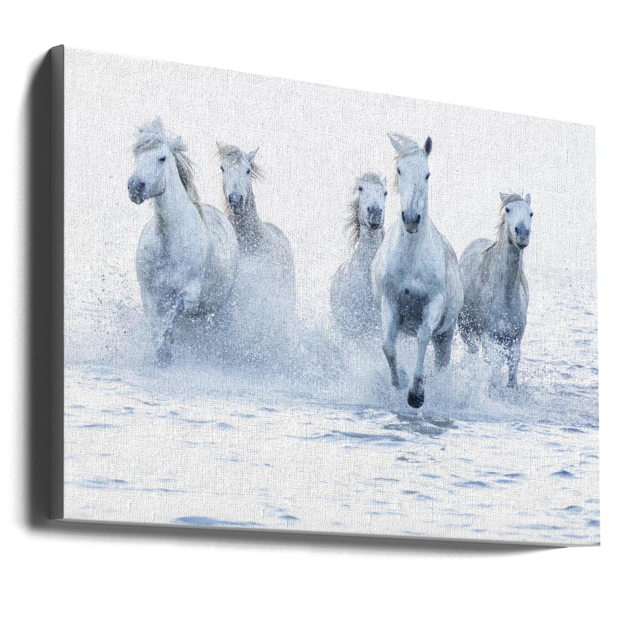 Wall Art Horses on the Run