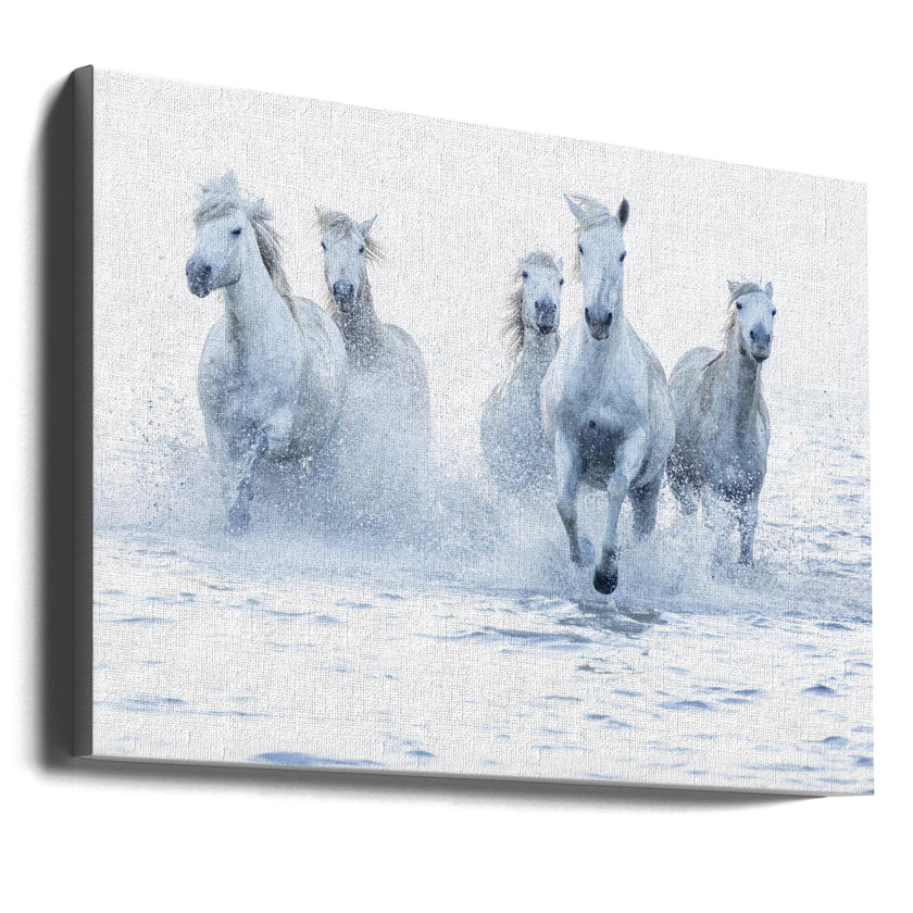 Wall Art Horses on the Run