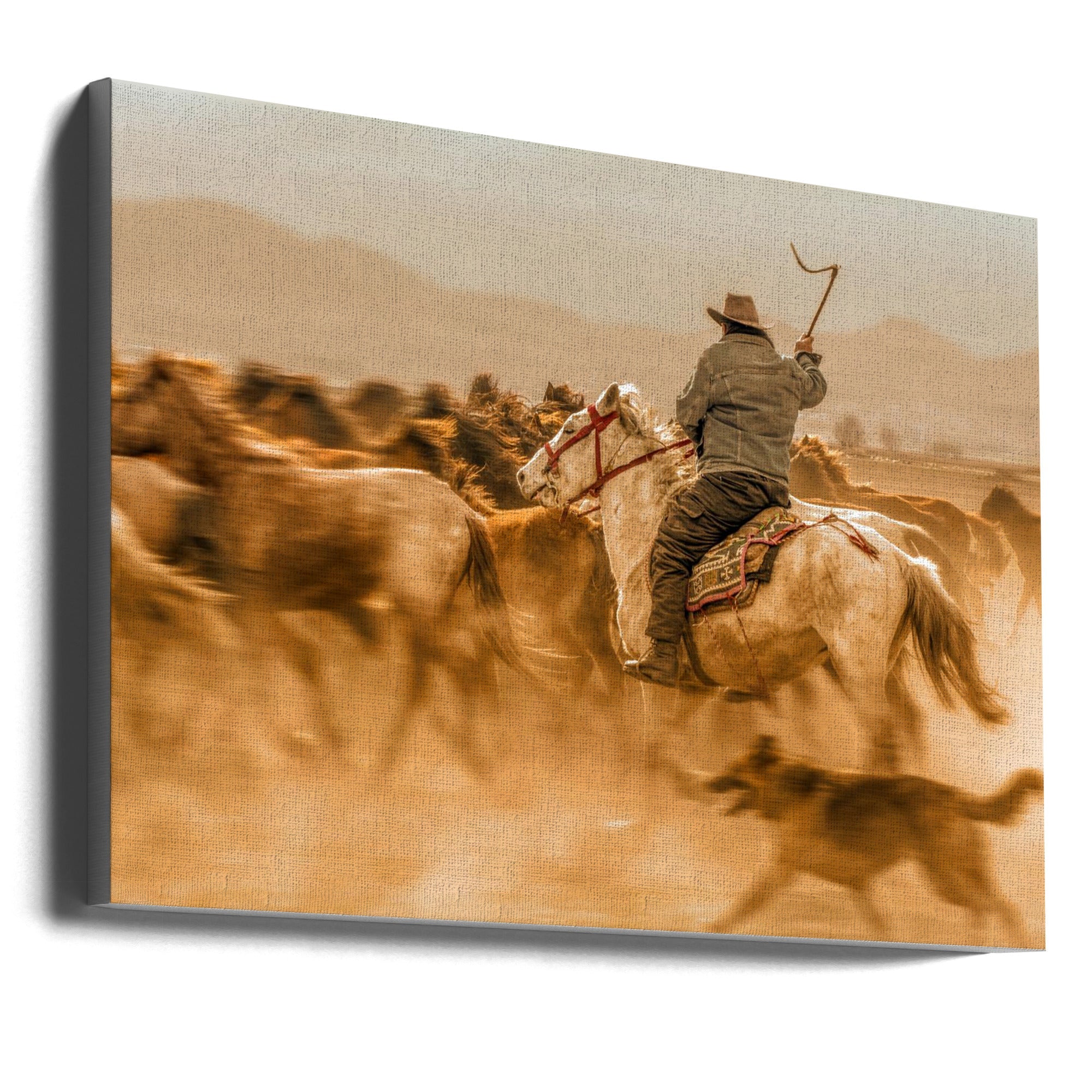 Peinture murale : Chevaux sauvages (aussi appelés Yılkı Atları)
