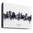 Wall art St John's Canada Skyline