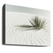 Wall art WHITE SANDS Vintage Dune