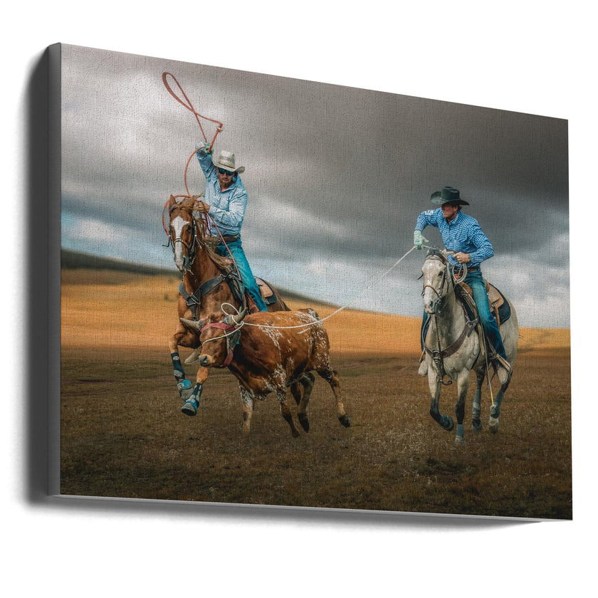 Team Roping (ou lasso de groupe)