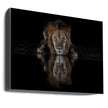 Art mural : Un lion dans la nuit