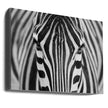 Wall art Zepra