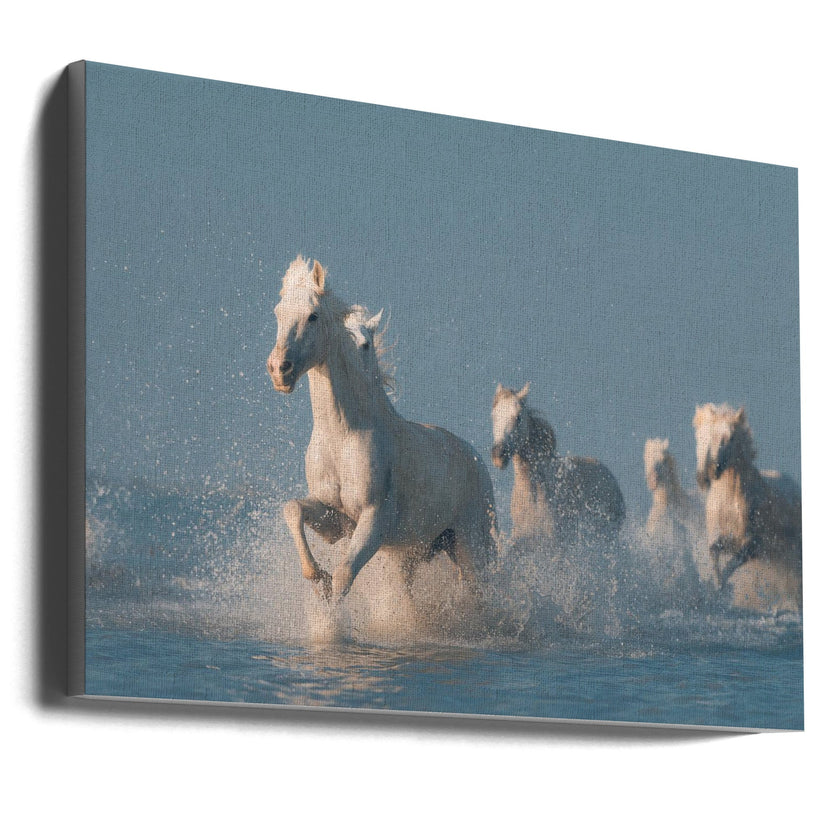 Wall art Angels of Camargue. Horse
