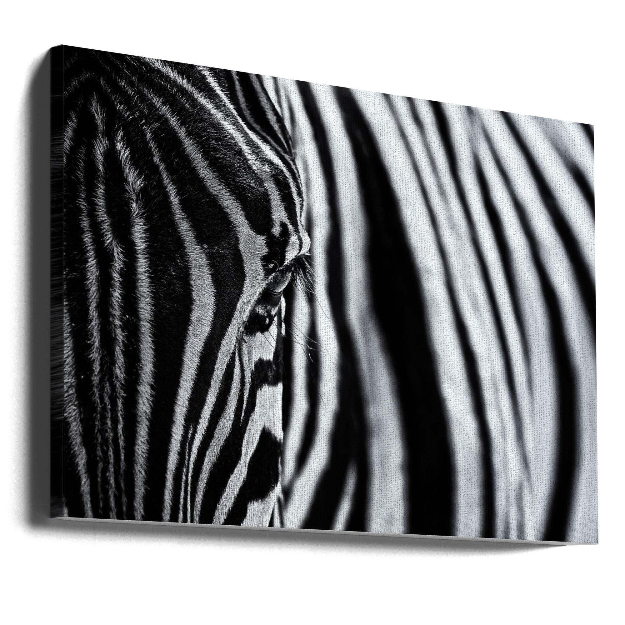 Art mural : Le regard de la nature