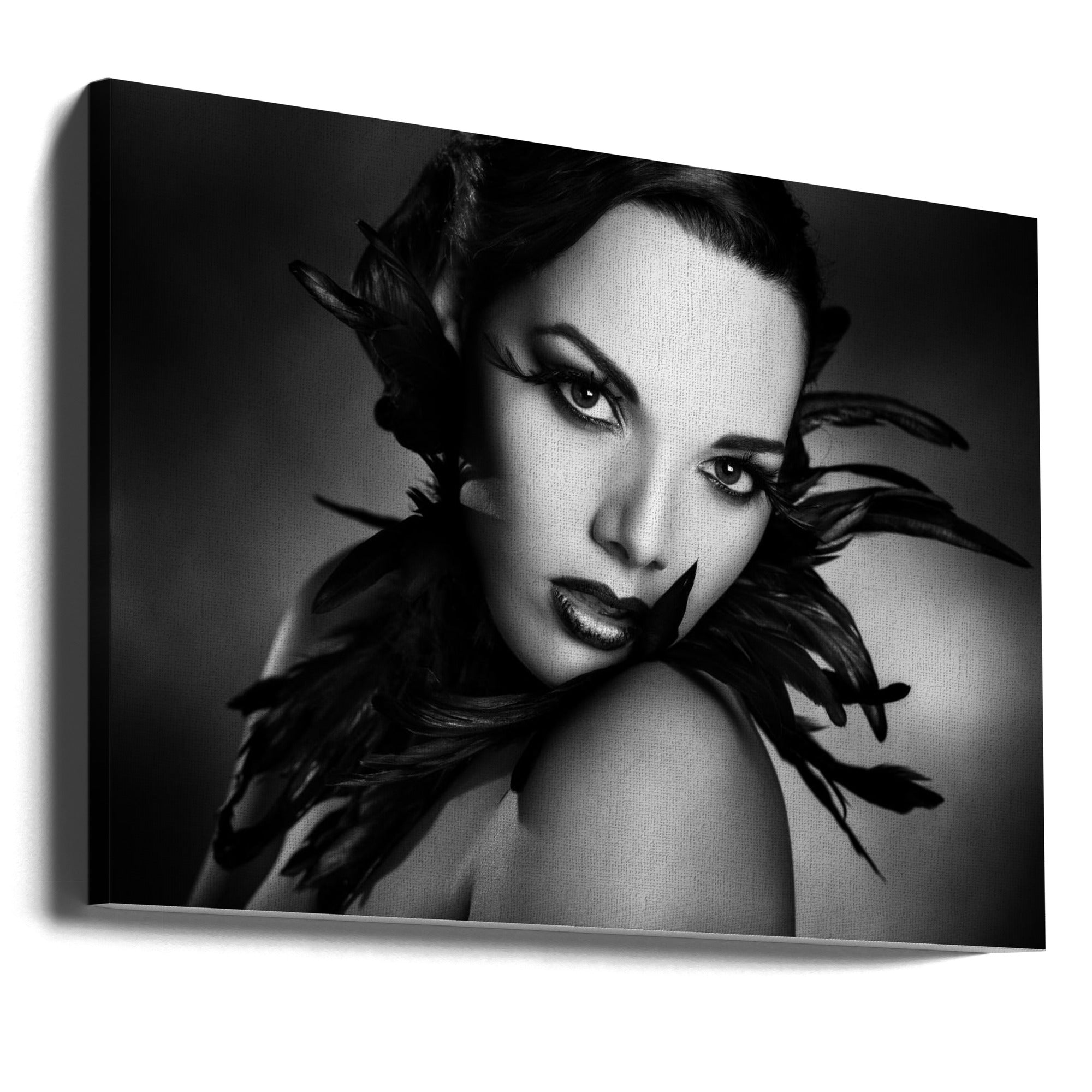 Wall art The black feathers