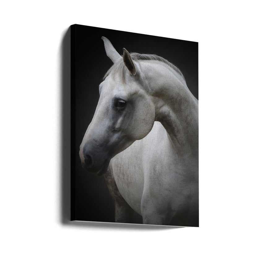 Wall art Maggie. Horse