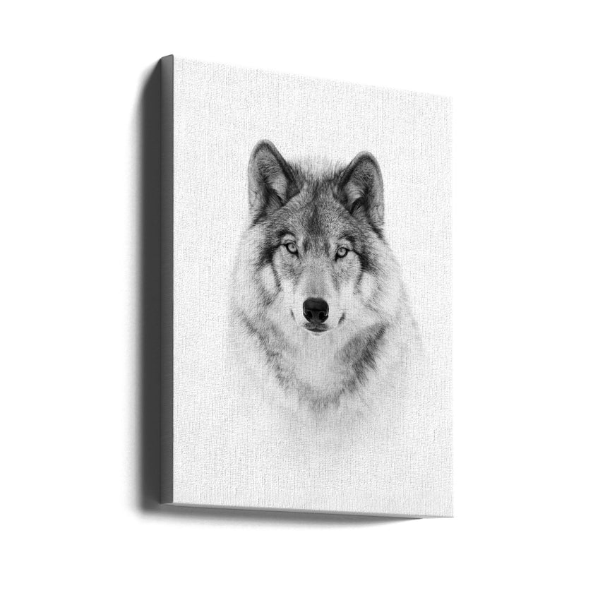 Portrait d'un loup des bois