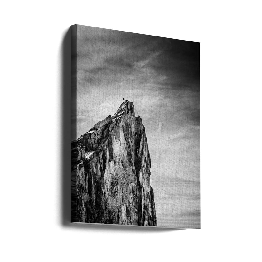 Wall Art Balancing between Earth and Sky