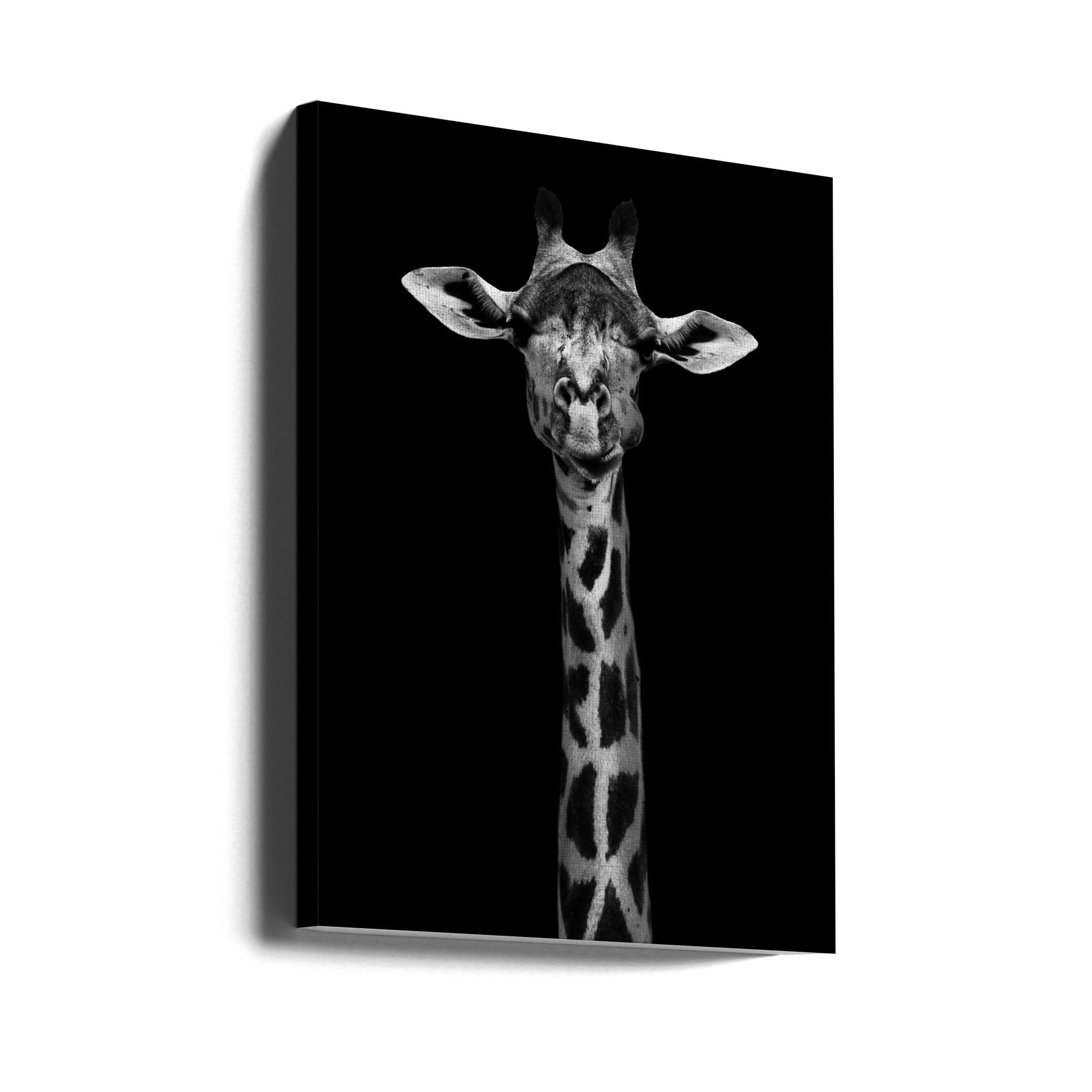 Portrait de girafe pour décoration murale